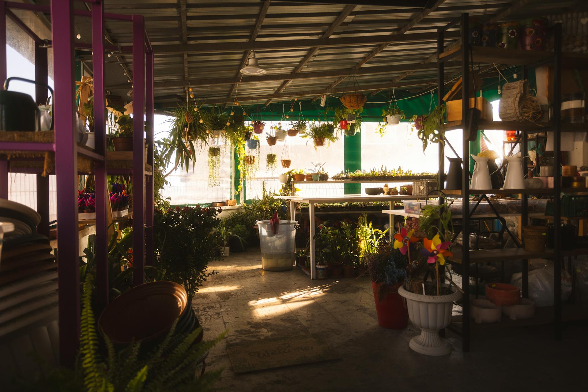 Plant shop shelves crowded with potted greenery